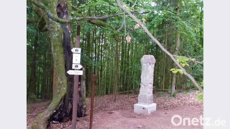 Frisch gereinigt und den Materialbruch wieder verklebt steht die Gedenkstele für die alte Buche (links daneben) jetzt wieder an ihrem Platz. Unbekannte Täter hatten sie vor einigen Wochen mit brutaler Gewalt vom Sockel gekippt, wobei sie zerbrach. Die drei kreisrunden Gesichter in der Frontfläche sollen an ein Winterbild von etwa 1949 erinnern, auf dem drei junge Männer aus einem Loch des damals schon hohlen Baumes herausschauten. Bild: jml