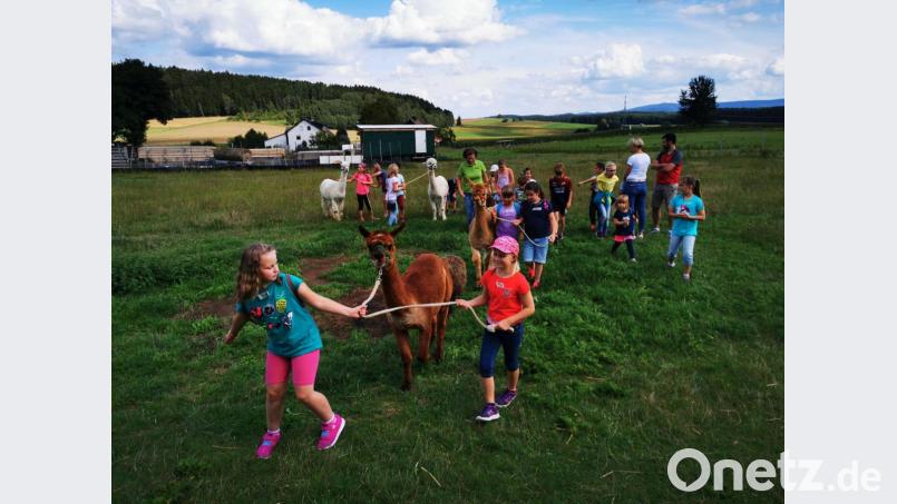 Nicht die Kinder, sondern die Pakos führten die Kinder durchs Gelände. Bild: gz