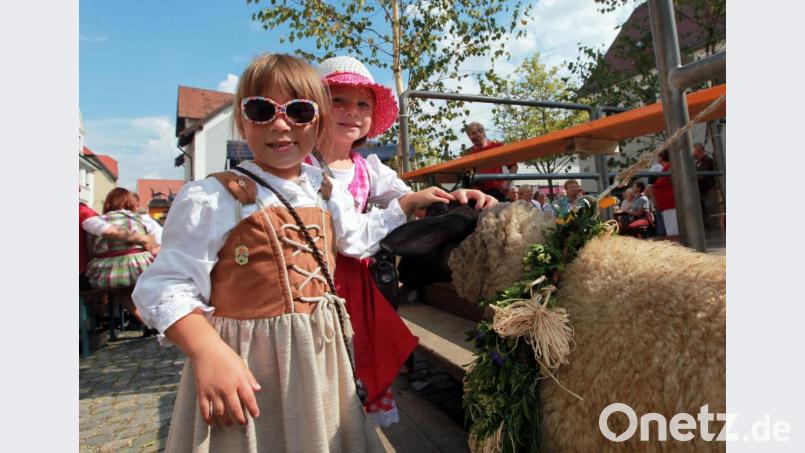 Rosenberger Kirwa-Nachwuchs vergibt Streicheleinheiten. Bild: bmr