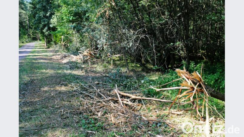 Es sieht wüst aus am Glutschaufelweg in Eschenbach, doch tatsächlich gehört der Maschineneinsatz am Wegesrand zu den Pflegemaßnahmen. Bild: do