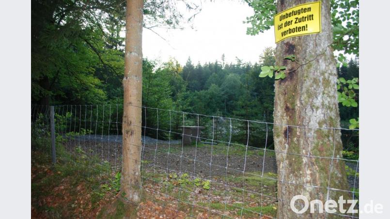 Unbefugte haben keinen Zutritt mehr zum ehemaligen Bootsverleih. Teile des Geländes sind mit Schotter aufgefüllt worden, außerdem steht dort ein Tisch aus Granit. Bild: tss