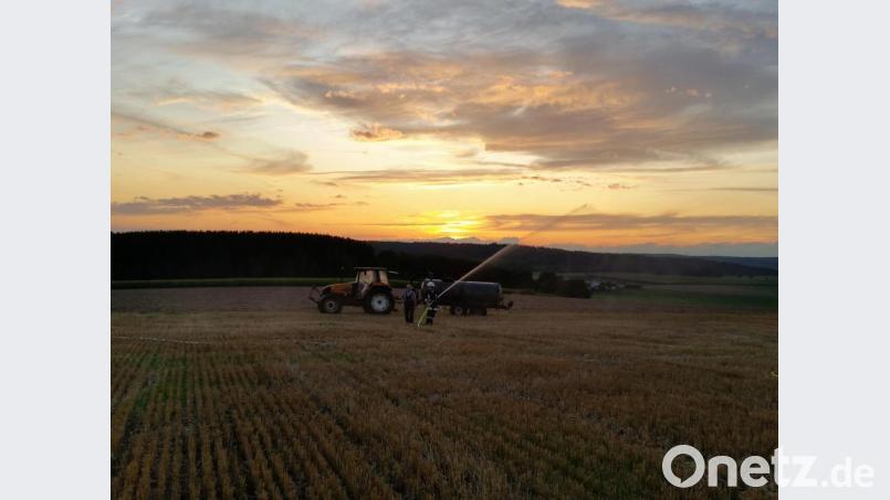 Flächenbrand - Übung Bild: dob