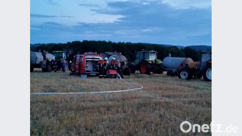 Flächenbrand - Übung Bild: dob