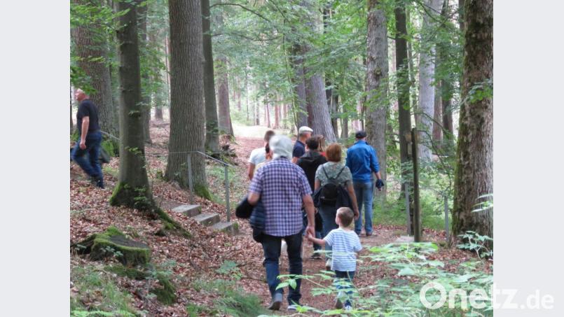 Stille Pfade führen nach Köllergrün, wo über 200 Jahre alte Eichen von einer geschichtsträchtigen Begegnungsstätte zeugen. Bild: ubb