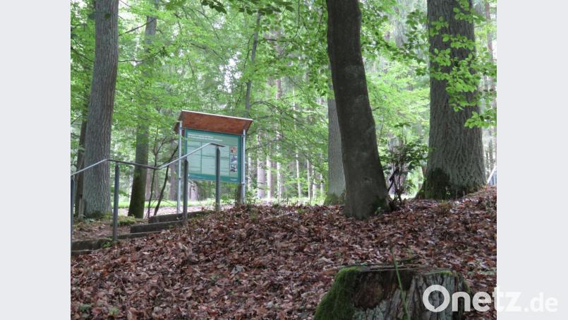 Mitten im Laubwald versteckt liegt der Gründungsort des Klosters Waldsassen. Einst sollen dort Mönche ein Einsiedlerleben geführt haben. Bild: ubb