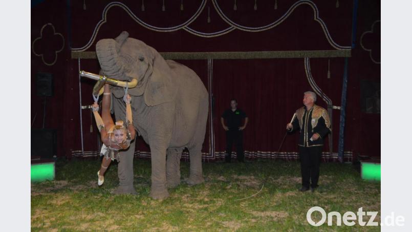 Der Circus Afrika hat am Freitag sein Gastspiel in Altenstadt bei Vohenstrauß begonnen. Drei weitere Vorstellungen sind bis Sonntag noch geplant. Bild: dob