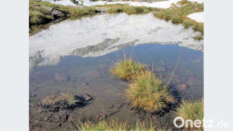 Ein Zillertaler Berg spiegelt sich im Wasser. Bild: exb/Georg Birner