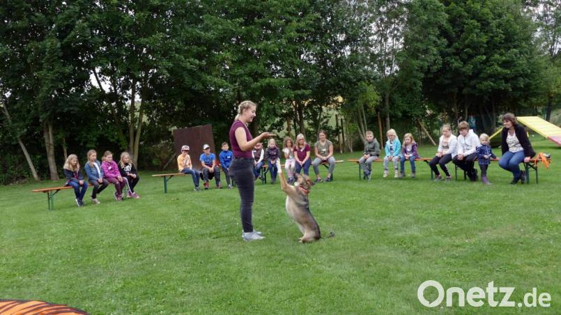 Das Ferienprogramm-Angebot "Rund um den Hund" war hochinteressant. Bild: Stadt Marktredwitz/exb