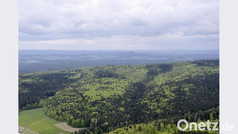 Der Hessenreuther Wald von oben. Archivbild:  http://rene.muehlmeier.de
