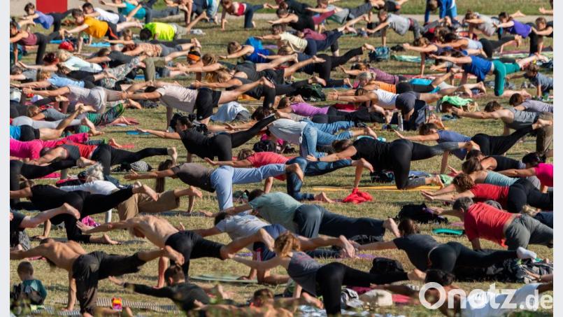 Entdeckungen bei Yoga im Park. Symbolbild: Robert Michael/dpa-Zentralbild/dpa