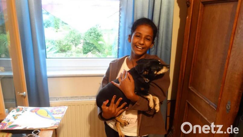 Die Rehpinscher-Dame Emma ist Nadas liebster Spielgefährte. Bild: hka