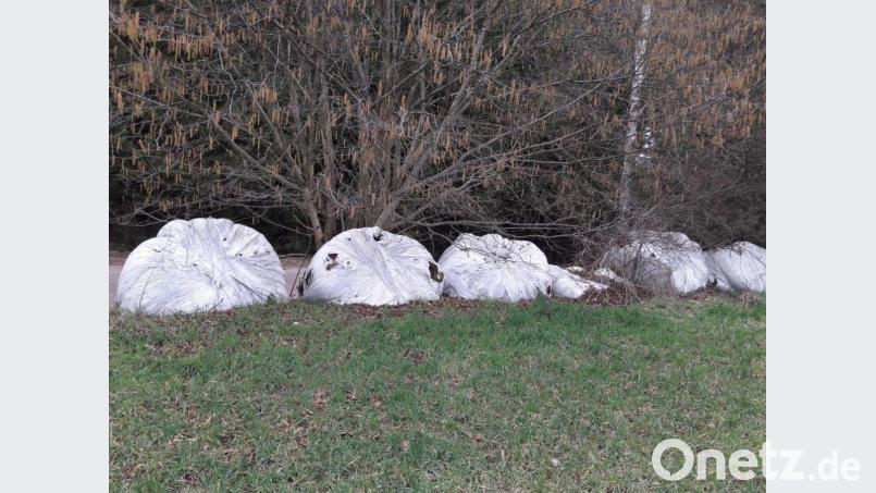 Vor allem im Frühjahr oder Herbst fragt sich mancher Spaziergänger, ob so manches Futter unter Folie nicht längst zum Müllproblem geworden ist. Bild: bl