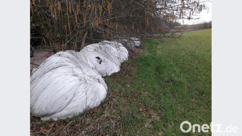 Fast könnten die runden Formen unter Stretch-Folie als Kunstwerk durchgehen. Doch hin und wieder bleiben die von der Landwirtschaft abgepackten Produkte auch als Müll in der Landschaft zurück. Bild: bl