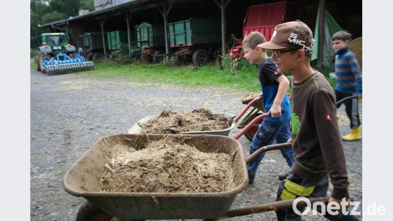 &quot;Einmal Bauer sein&quot; hieß das Motto des Ferienprogramms am Mitterhof. Bild: opp