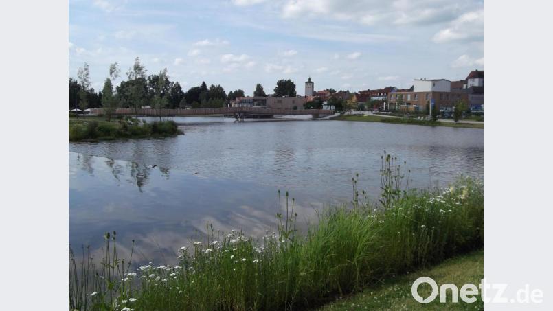 Ein Schwarzangler wollte im Stadtteich fischen. Symbolbild: cr