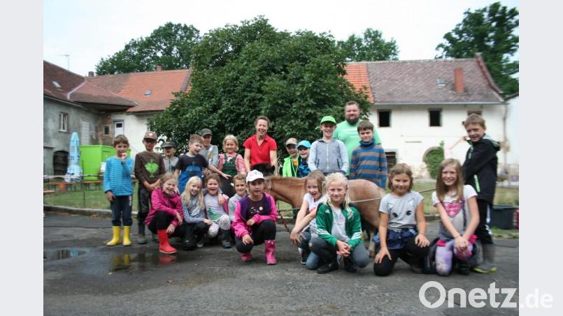Eine Fülle von Erlebnissen bot den Kindern das Ferienprogramm am Mitterhof. Kerstin und Matthias Frank zeigten den 19 Mädchen und Buben, was das Betreibens eines Hofes bedeutet. Bild: opp