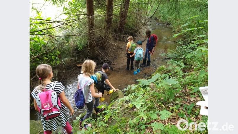Wer war denn da unterwegs? Die Kinder untersuchten die Tierspuren am Ufer des Schilterbachs. Leider konnte nicht herausgefunden werden, wer der Verursacher war. Bild: exb/Susanne Götte