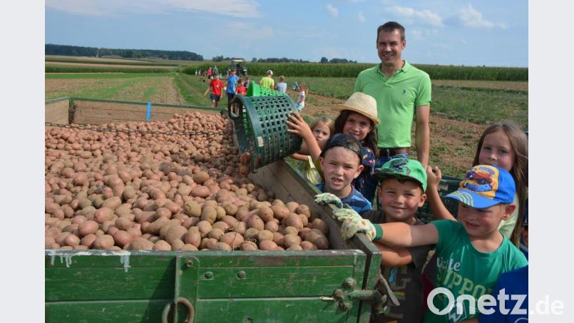 Zehn Zentner Kartoffeln kamen bei der Ernteaktion zusammen. Über den Einsatzeifer freute sich CSU-Ortsvorsitzender Andreas Malzer. Bild: jr