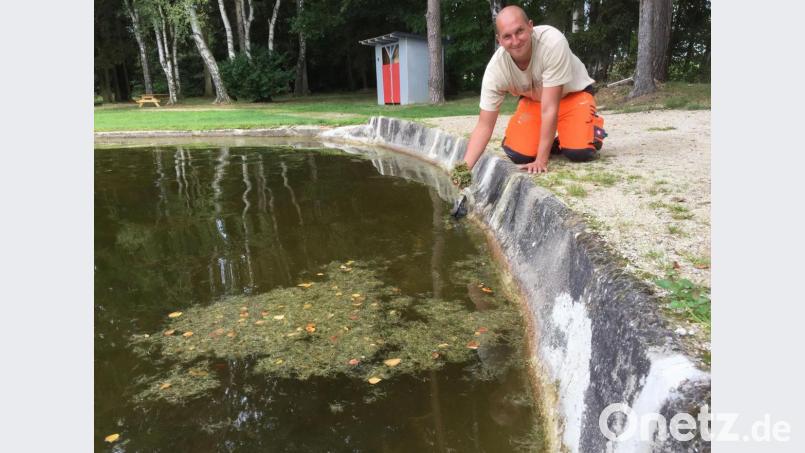Täglich fischen Bauhofleiter und Bademeister Markus Kremser (Bild) und seine Helfer Berge von Gräsern aus dem Wasser. Bild: fph