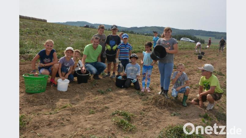 Den Kindern machte das Kartoffelklauben viel Spaß. Bild: jr