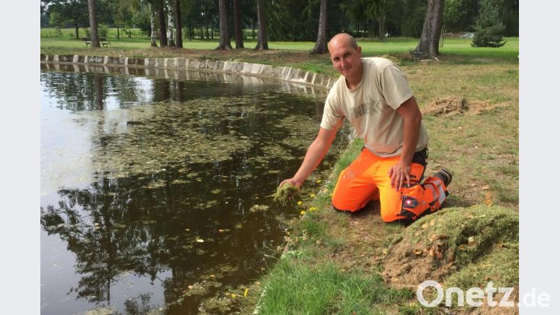 Täglich fischen Bauhofleiter und Bademeister Markus Kremser (Bild) und seine Helfer Berge von Gräsern aus dem Wasser. Bild: fph