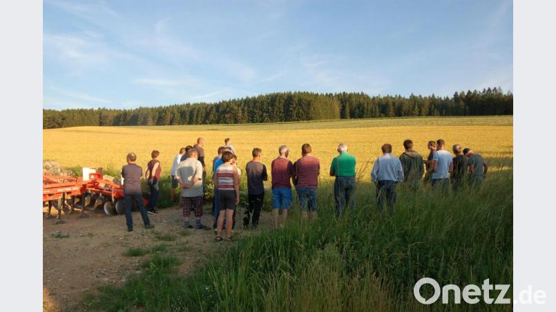 Bei der Feldbegehung der Öko-Modellregion stellt Familie Dötsch ihre Umstellungsflächen vor. Hier betrachtet die Gruppe einen Winterweizen-Bestand. Neben dem Acker steht der Gänsefußschar-Grubber. Bild: B. Ströll