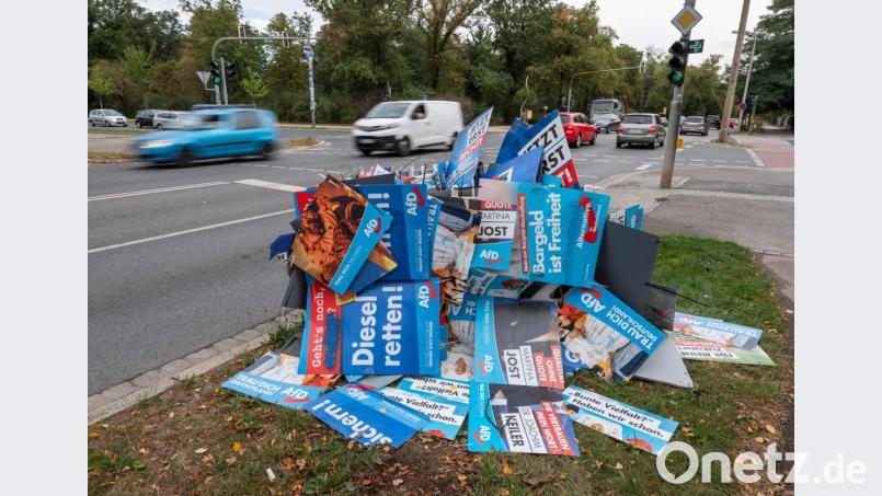 Wahlplakate der AfD zur Landtagswahl in Sachsen liegen in Dresden am Straßenrand auf einem Haufen. Bild: Robert Michael/dpa-Zentralbild/dpa