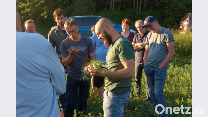 Naturlandberater Konrad Maier hat auf dem Umstellungsacker eine Lupinen-Pflanze ausgegraben und diskutiert mit Landwirten die Entwicklung des Wurzelsystems und der stickstoffsammelnden Knöllchenbakterien an der Lupinenwurzel. Bild: B. Ströll
