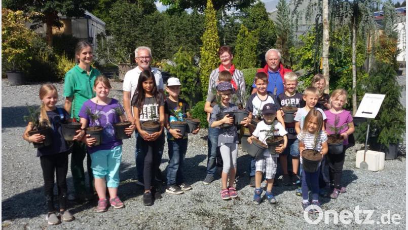 Fachkundig leiten Gärtnermeisterin Michaela Forster (hinten links) die Kinder beim Pflanzen ihrer Weißtannen an. Bild: fz