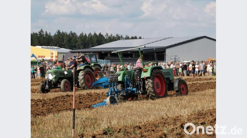 Beim Wettackern traten die Bulldogbesitzer mit Ein- bis Dreischarpflügen an. Bild: gz