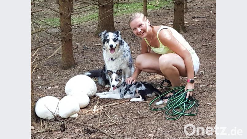Überraschender Fund beim Gassigehen in Wolfsbach. Bild: Melanie Hitscha