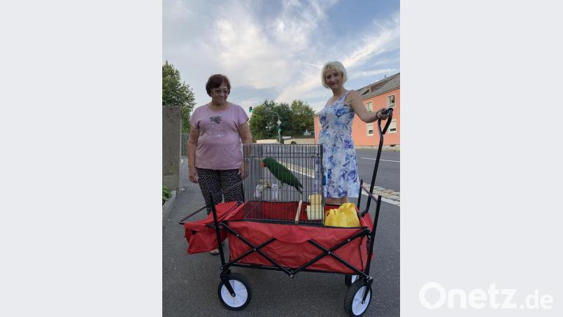 Edelpapagei Max ist der Liebling von Erika Sveropa (links) und Carmen Steinbacher aus Waldershof. Bild: Bäumler/fph