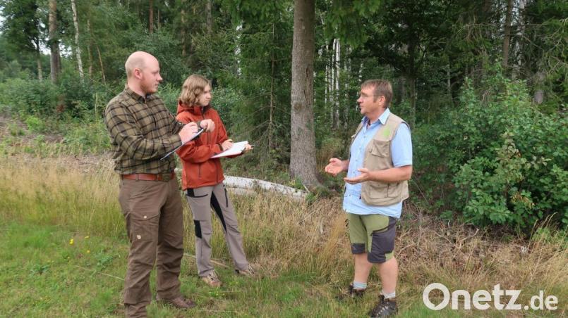 Einblicke in die verschiedenen Artenschutzprojekte des Naturparks Steinwald erhielten die neuen Ranger Jonas Ständer und Amelie Nöth (von links). Diplom-Agrarbiologe Andreas Schmiedinger zeigte Unterschlüpfe, Flächen, Waldgebiete und Stellen im Naturpark Steinwald, wo die selten gewordenen Arten noch vorhanden sind. Bild: bsc