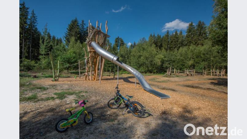 Bei Großensterz wurde im Juli der Sterz-Weg, ein 3km langer Erlebnispfad eingeweiht. Ein 3km langer Rundweg mit Insektenhotel, Kletterturm und einem Bike-Parcours soll Kinder und Erwachsene wieder in die Natur rauslocken. Bild: sds