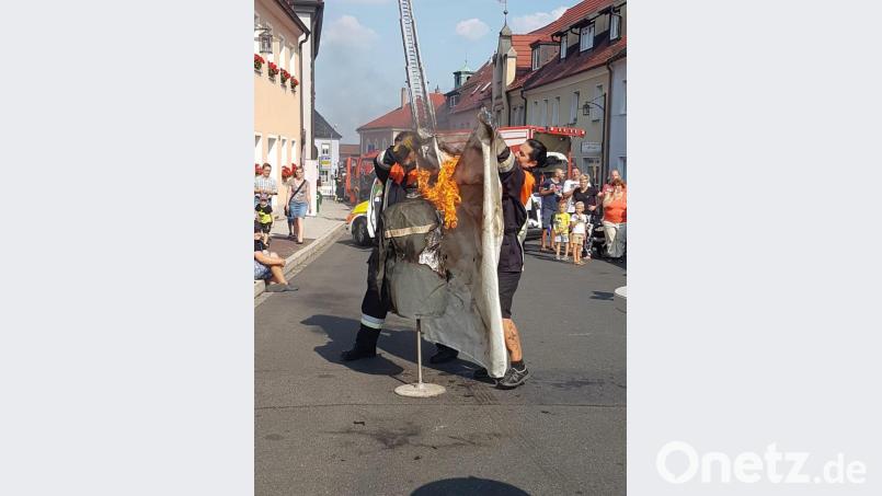 Löschen einer brennenden Person. Bild: njn