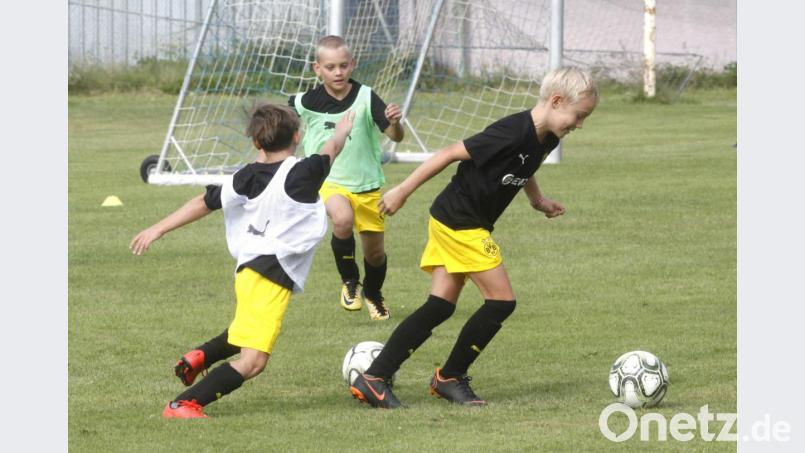 Die Kinder sind eifrig bei der Sache im Fußballcamp auf dem Gelände des SC Ettmannsdorf Bild: Hirsch