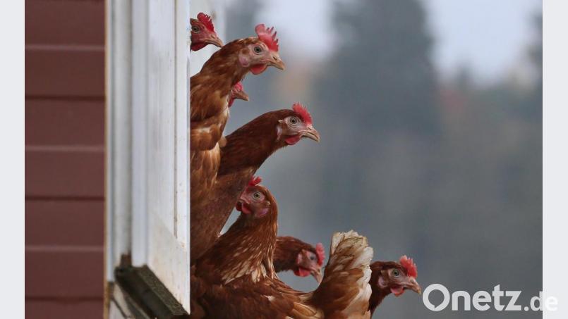 Symbolbild: Karl-Josef Hildenbrand/dpa