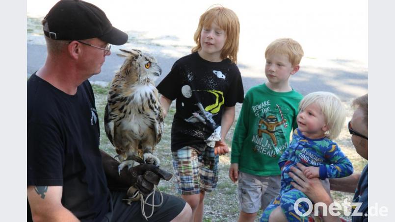 Die drei Söhne der amerikanischen Familie Equall (v.l.: Arthur, Samuel und Forrest) schauten sich die Eule mit gebührendem Respekt an. Bild: er