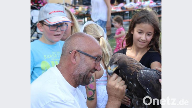 Hans Weiß kennt sich als versierter Ornithologe bestens aus im Umgang mit Raubvögeln. Bild: er