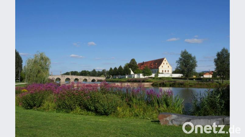Fischhofpark Tirschenreuth. Bild: tr