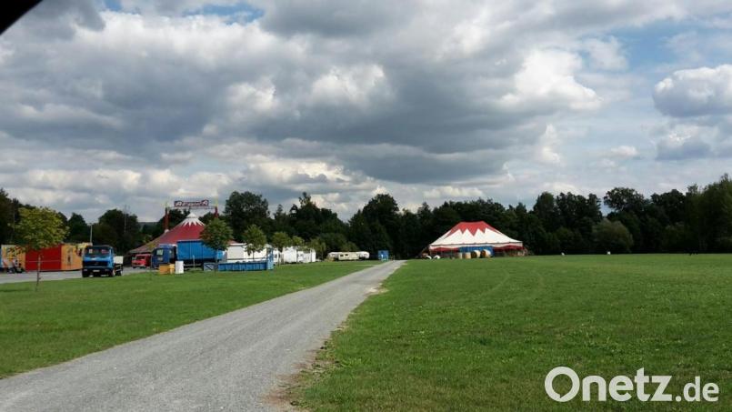 Der Circus Afrika gastiert am kommenden Wochenende in Kemnath. Die Zelte sind noch nicht richtig aufgestellt, da gibt es schon Ärger: Eigentlich dürften die Betreiber nur den Wiesenfestplatz nutzen (links). Doch die Verantwortlichen haben das Stallzelt der Tiere auf einer benachbarten Wiese (rechts) aufgebaut, für die sie laut Aussage des Ordnungsamts keine Erlaubnis haben. Bild: mng