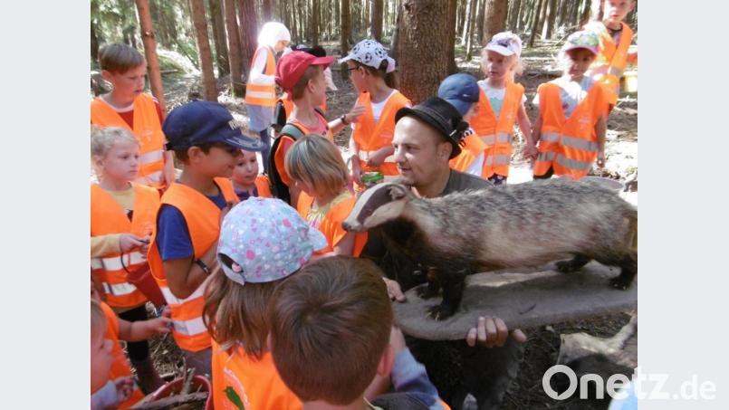 Die Kinder erfahren bei der Ferienaktion des KDFB Luhe &quot;Kinder entdecken den Wald&quot; viel Neues. Bild: rgl