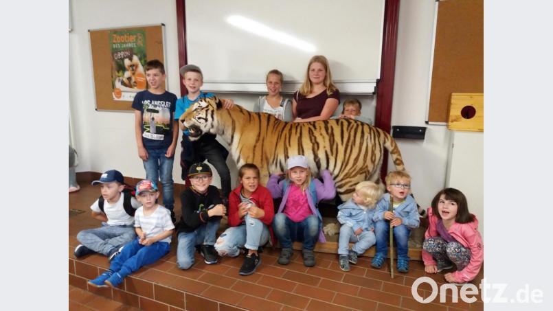 "Keine Angst vor großen Tieren"....einer so gefährlichen Großraubkatze so nahe zu kommen ist schon was Besonderes. Der ausgestopfte Tiger war beim Besuch im Straubinger Zoo ein beliebtes Fotomotiv der Kids. Bild: wlr