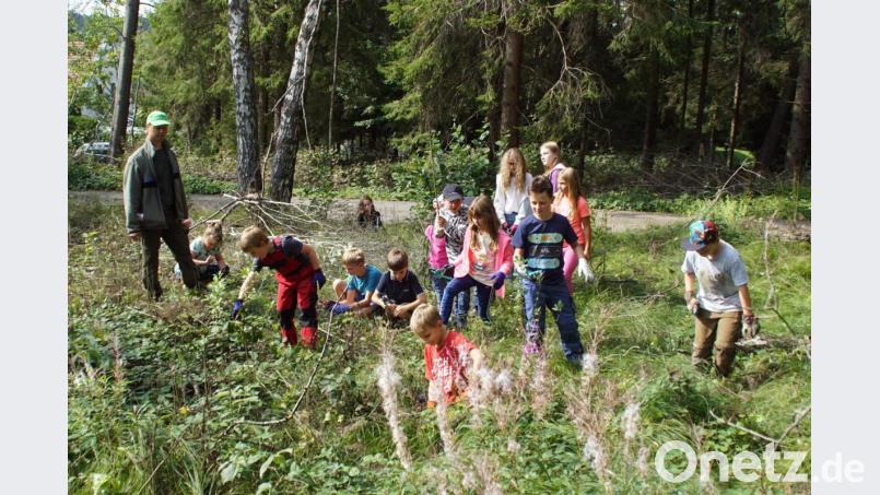 Revierförster Michael Forster gab den Buben und Mädchen Tipps. Bild: mmj