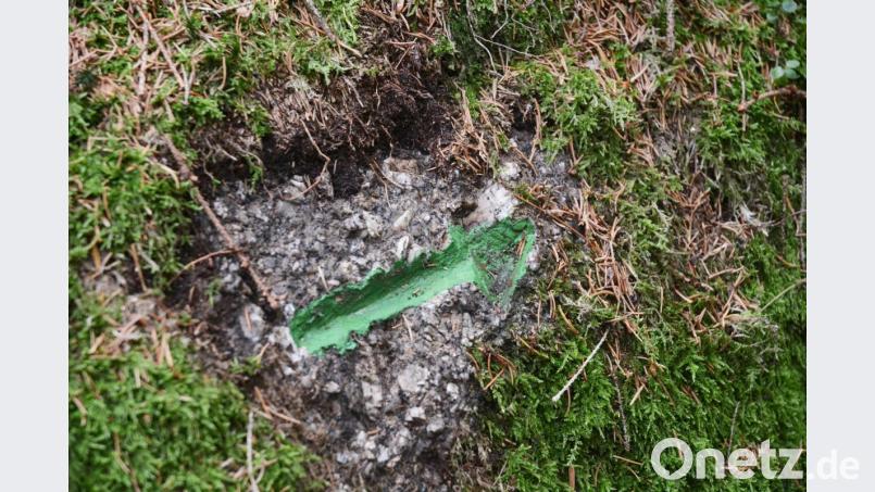 Im Doost wären nach Auffassung der höheren Naturschutzbehörde bei der Regierung der Oberpfalz Verbesserungen an den Markierungen nötig gewesen. Für Kritik sorgen aber solche Eingriffe, die im Naturschutzgebiet gemäß Verordnung eigentlich nicht erlaubt sind. Bild: Gabi Schönberger