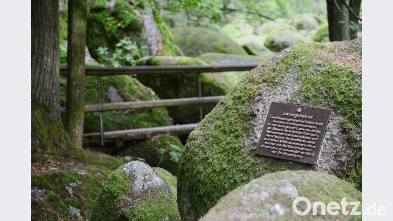 Die Brücke über die Girnitz im Doost einschließlich des Holzgeländers ist nicht mehr im besten Zustand. Das bestätigt auch die höherer Naturschutzbehörde in Regensburg. Für Diskussionen sorgen aber die Bronzereliefs, die in dem Naturschutzgebiet direkt in den Felsen angebracht sind. Bild: Gabi Schönberger