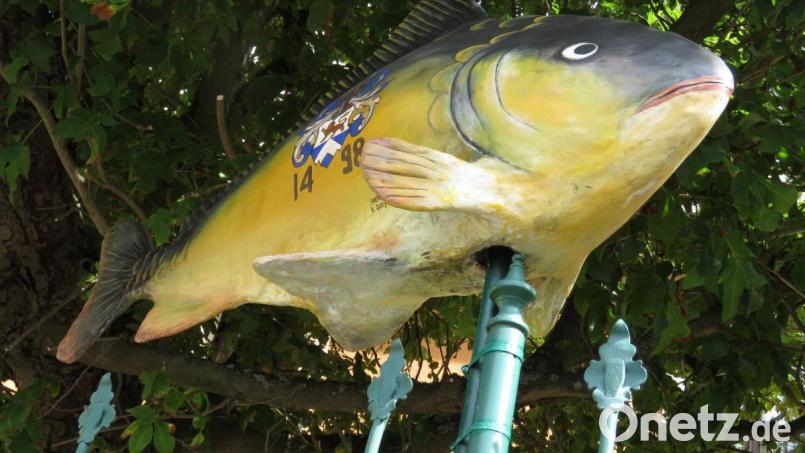 Das Maul des Karpfens ähnelt ein wenig dem Maul eines Dorsches. Sollte da ein wenig die Heimat des Künstlers mit Anschluss an gleich zwei Meere durchdringen? Künstler Shebl Atef-Kühn beruft sich bei dieser Frage schelmisch lachend auf die künstlerische Freiheit. Bild: ubb