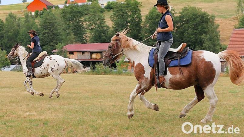 Mit erfahren Gästen galoppierten die Organisatoren des „berittenen Cowboy-Dienstag“ auch über die weiten Flächen und Wiesen im Naturpark Steinwald. Bild: bsc