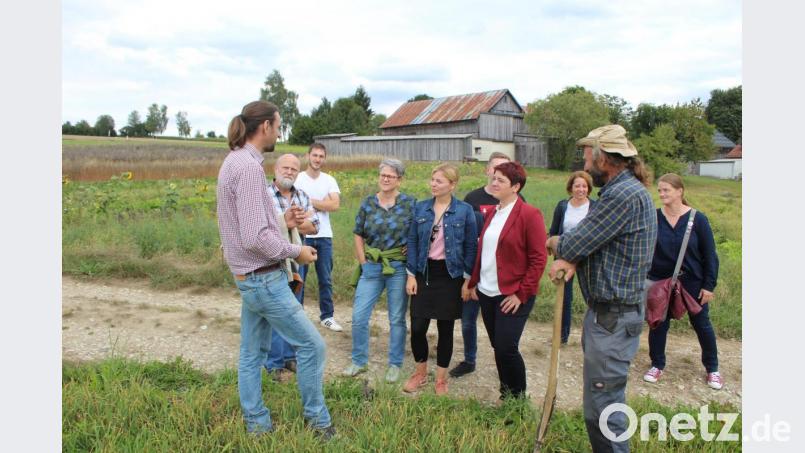 Josef Schmidt von der Grenzmühle, der ebenfalls ein Züchter des Roten Höhenviehs ist, erklärte den Grünen-Politikern die verschiedenen Gemüsesorten. Bild: soj