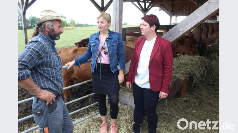 MdL Katharina Schulze (Mitte) und MdL Anna Toman (rechts) nahmen sich viel Zeit für den Biobetrieb von Hermann Köstler (links). Bild: soj